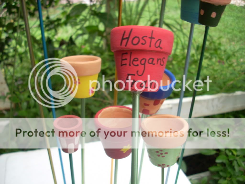 pot markers