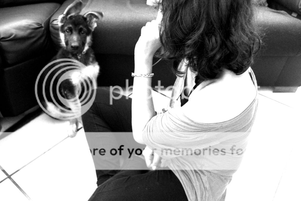 photo 22_zpsh9cabfmw.jpg