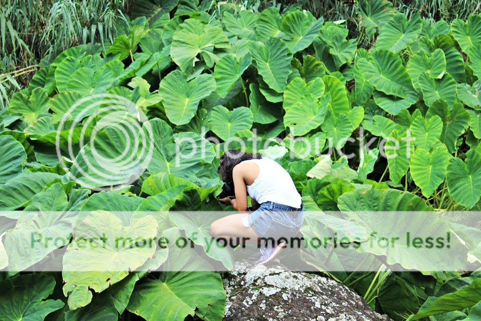 photo 26_zps1fe69l4g.jpg