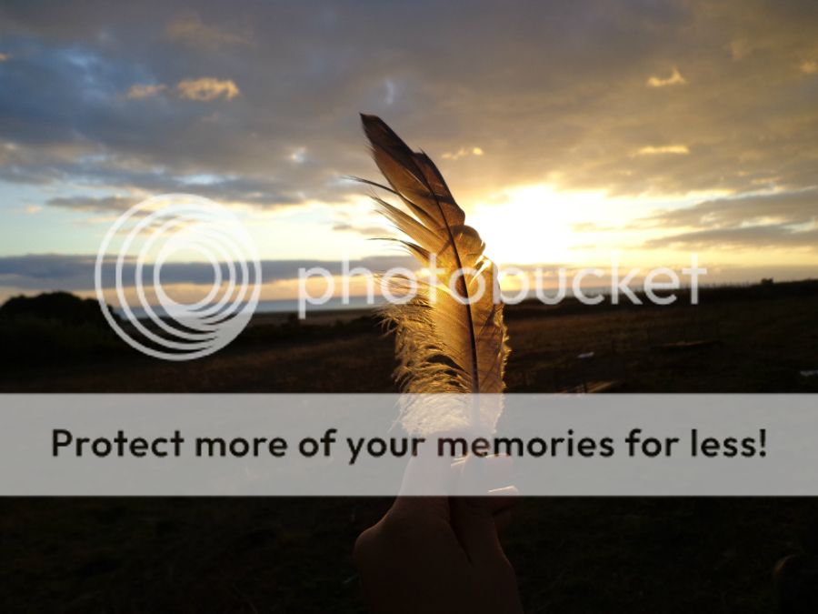 photo 4_zpsy0po79ex.jpg