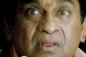 Brahmi_pch.gif