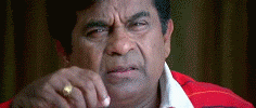 th_Brahmi_ento-1.gif