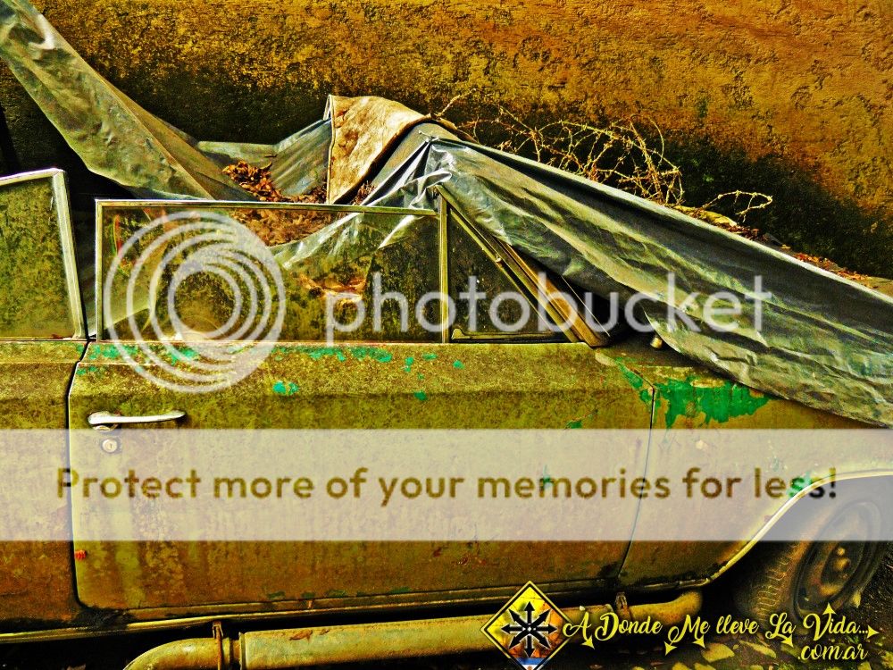 photo P1290490_zps1rnvkt0i.jpg