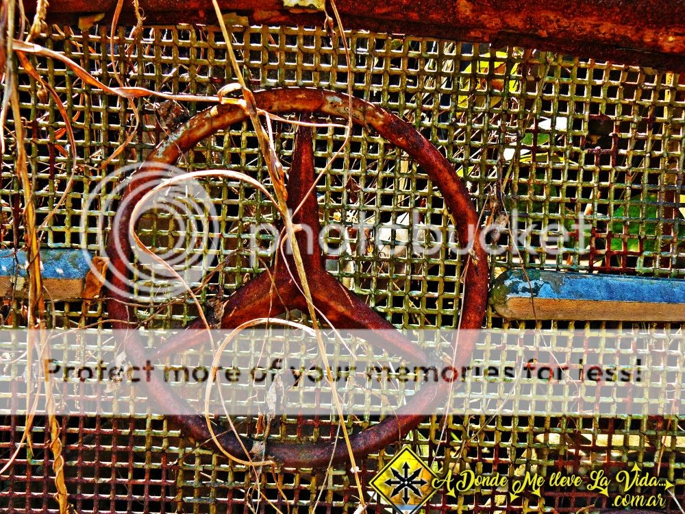 photo P1300123_zpse9vsmd1q.jpg
