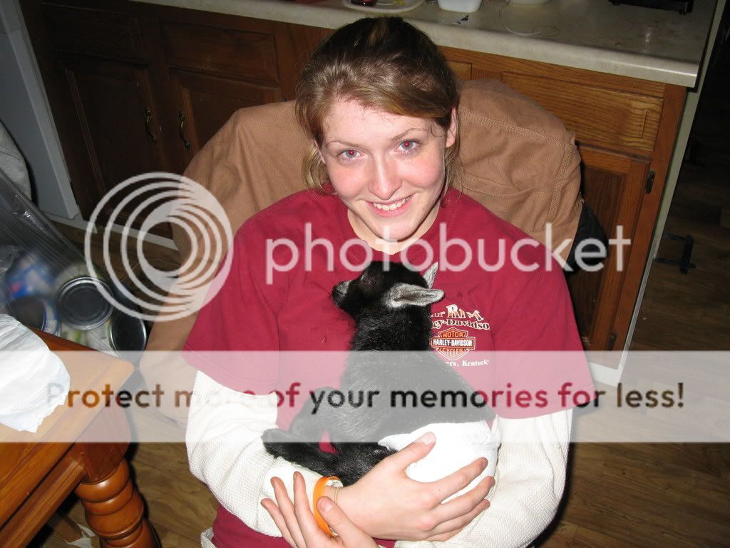 Winter Wonderland- baby with bad luck - Goats