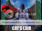 catslair.jpg