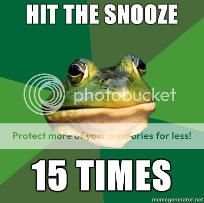 Foul-Bachelor-Frog-Hit-the-snooze-1.jpg