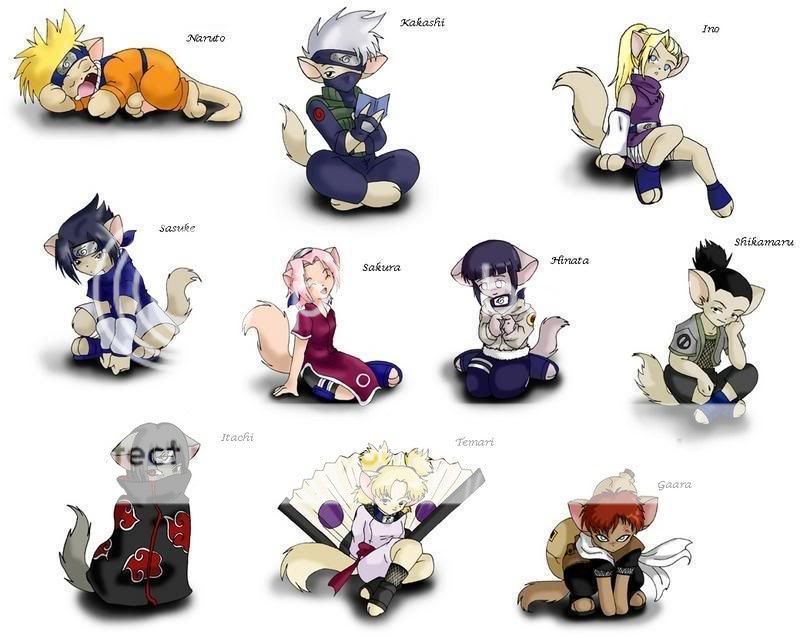 Naruto Cats Photo by ColterKarate Photobucket