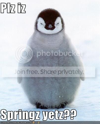 PlzIzSpring Pictures, Images and Photos