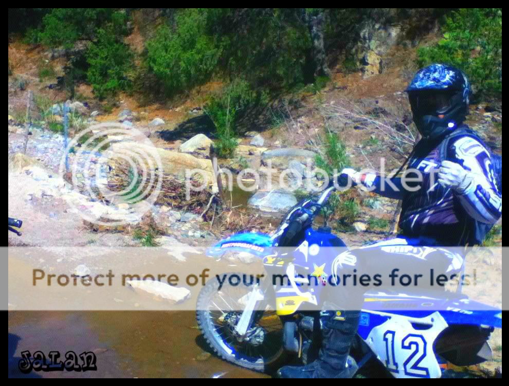 Posted Image