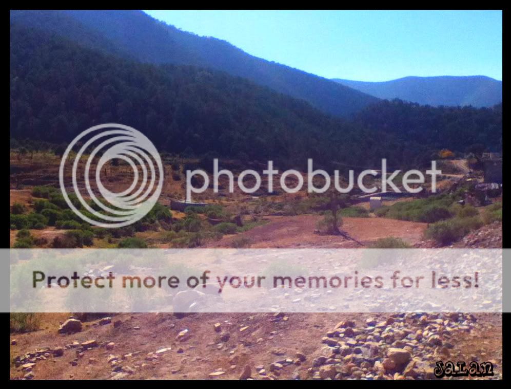Posted Image