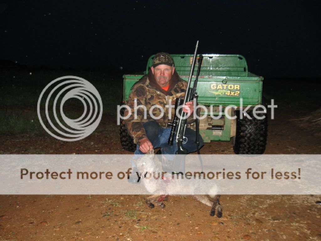 Posted Image