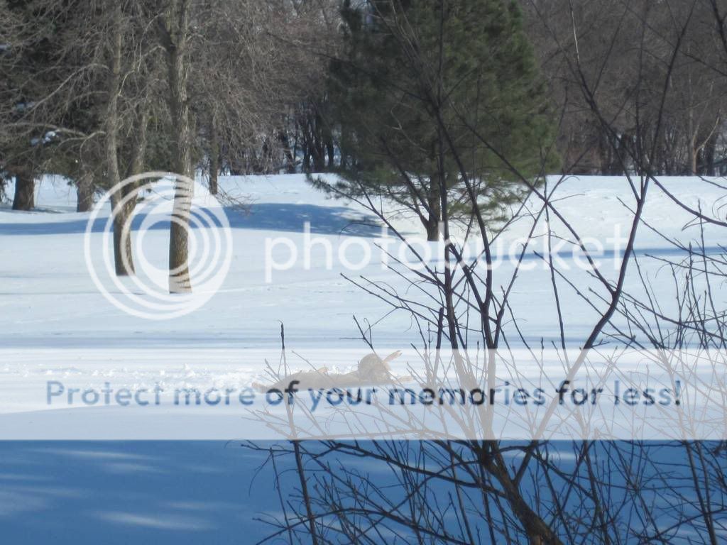 Posted Image