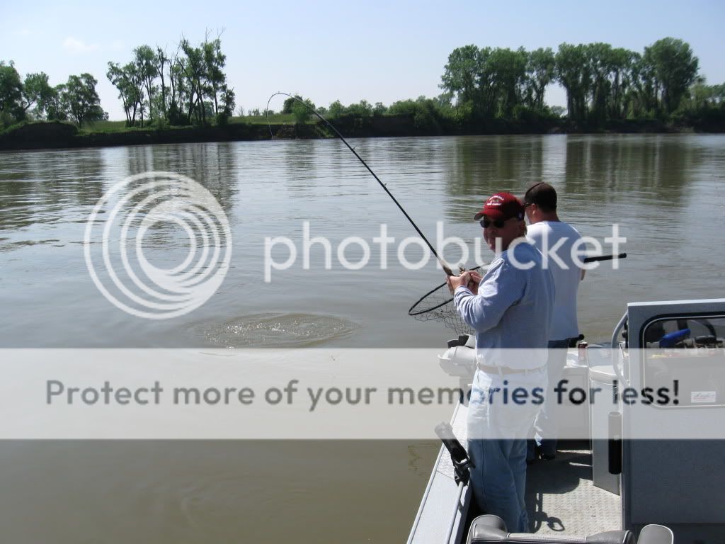 Posted Image