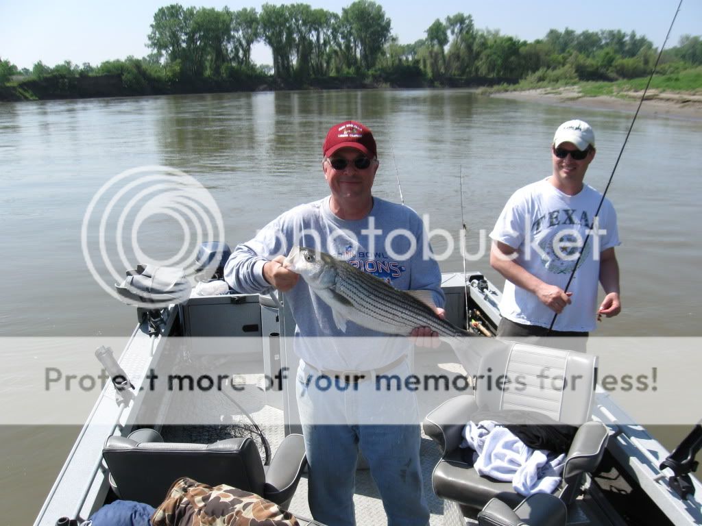Posted Image