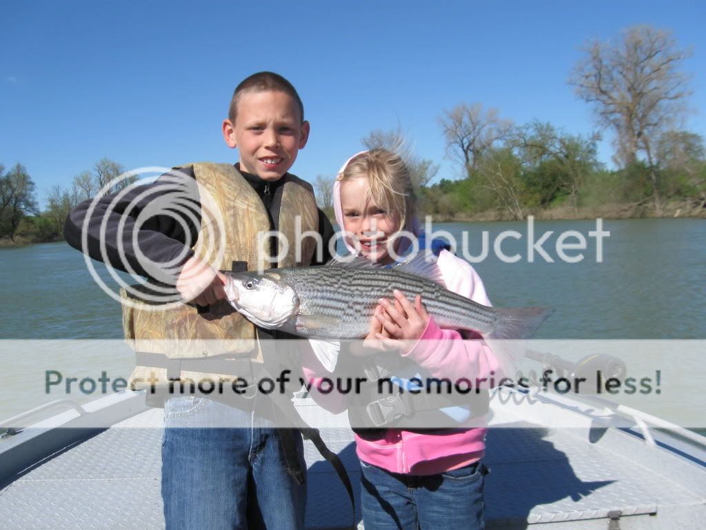 Posted Image