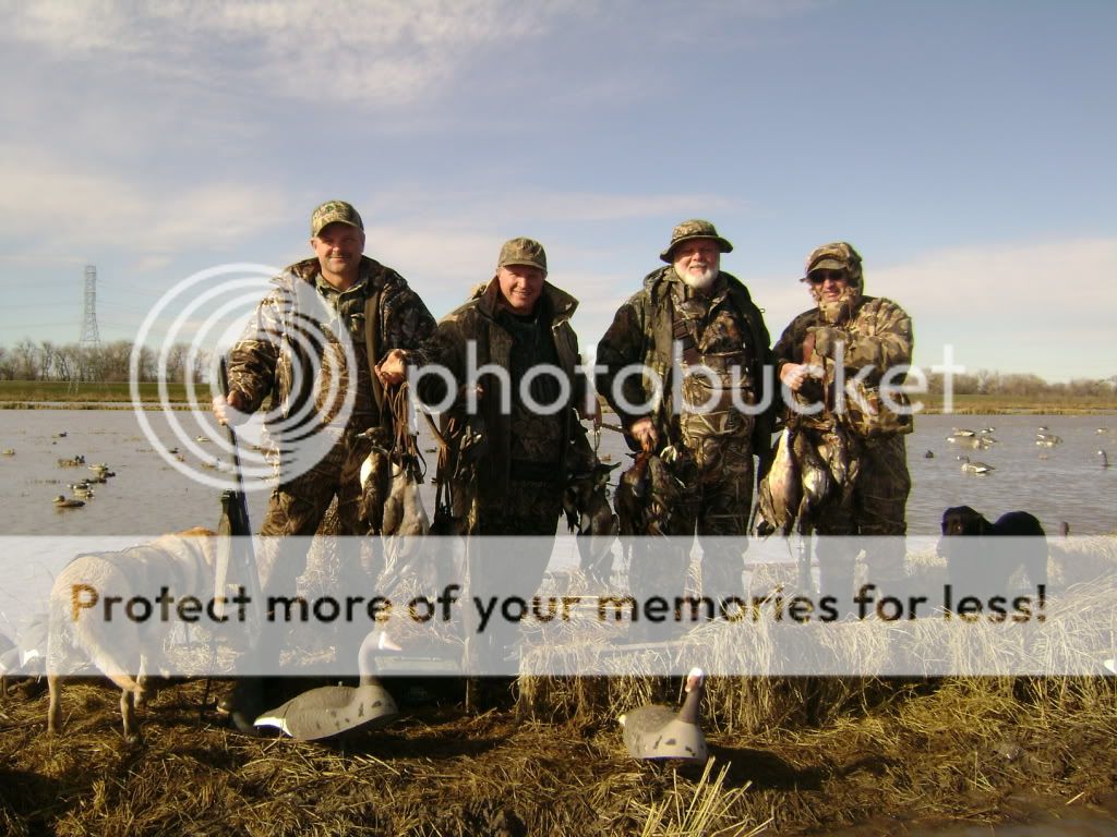 Posted Image