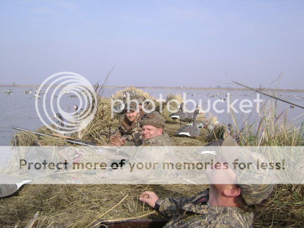 Posted Image