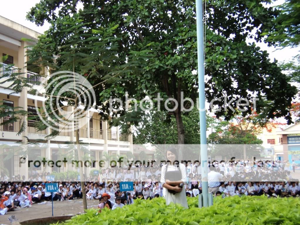 M&ugrave;a hoa ph&#432;&#7907;ng(Thu&#7845;n)